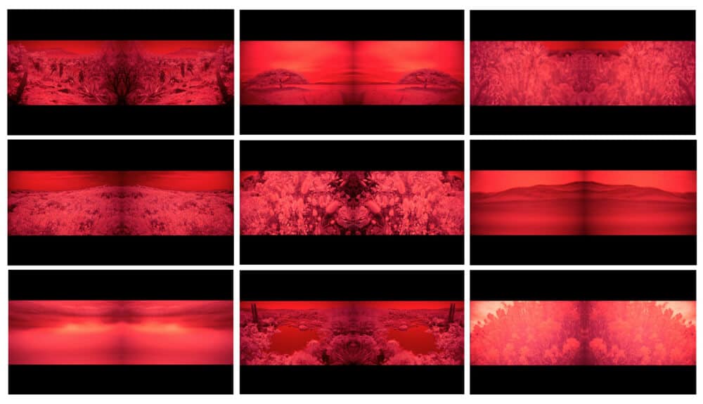 Ronél de Jager, Above and Below (Video Still composition 1), 2017. Single Channel HD Film, 25 FPS, colour, no sound. Edition of 5. Courtesy of the artist & Barnard.